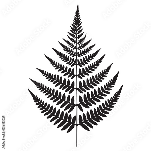 Detailed Black Silhouette Fern Leaf Illustration