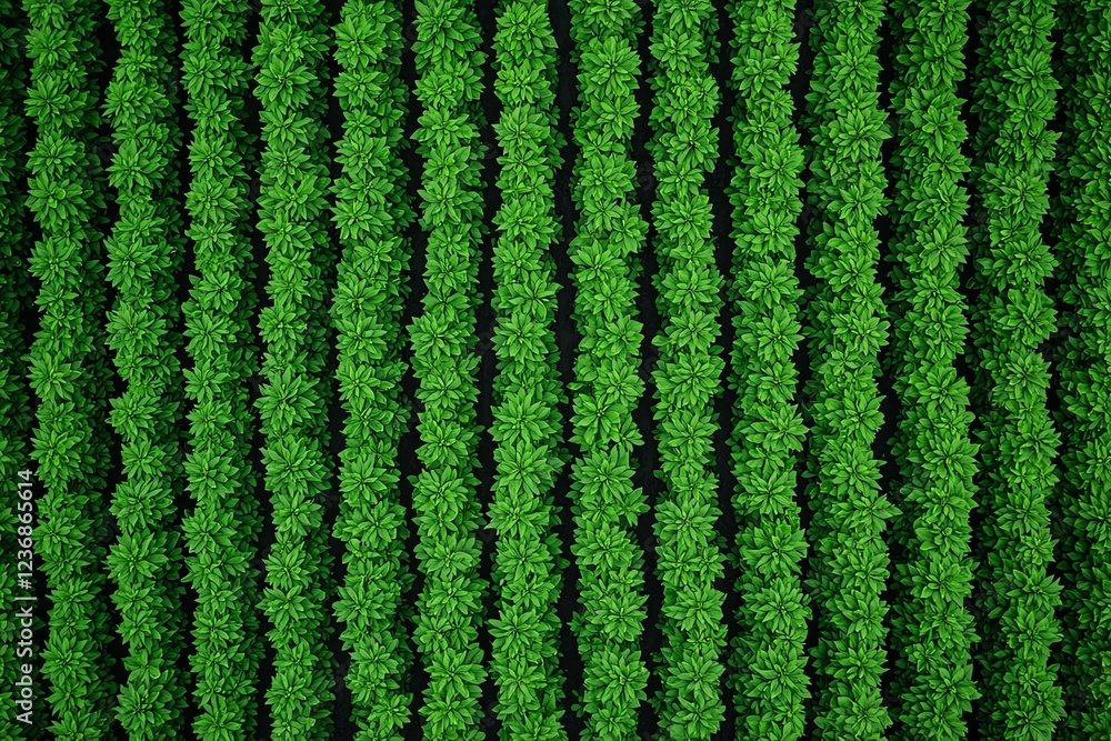 Lush green plants in neat rows from above. Lush green plants in neat rows from above.