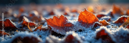 Frozen tears of silver glisten on fallen leaves, fall foliage, frozen nature