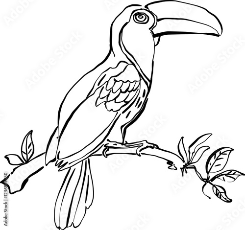 toucan bird on branch. Hand drawn vector illustration. 