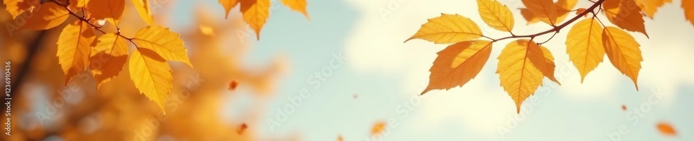Obraz premium Delicate golden leaves fall from a sky background with soft focus effect, background, leaves, sky