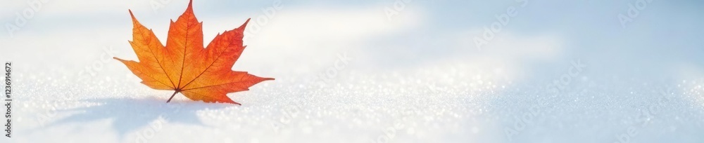 Single maple leaf with shadow on white ground, winter, colors, leaf Single maple leaf with shadow on white ground, winter, colors, leaf