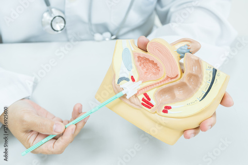 Valokuva Doctor demonstrates cervical cancer screening on white background