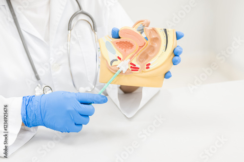 Valokuva Doctor demonstrates cervical cancer screening on white background