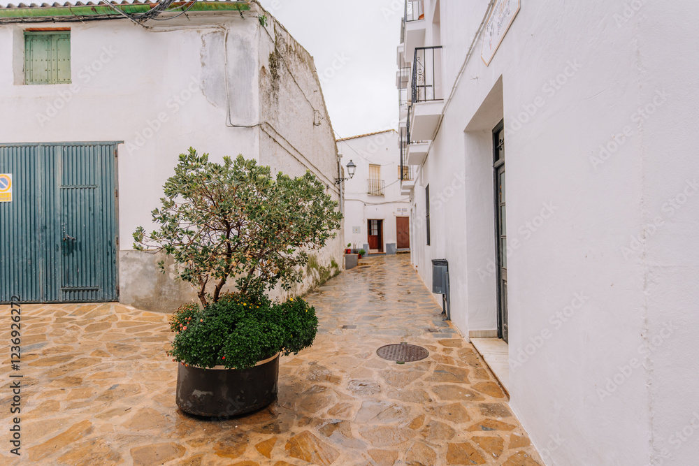 Naklejka premium Narrow cobblestone street in Gaucín, Spain, with whitewashed buildings, a green gate, a potted tree, and wrought iron balconies on a cloudy day.