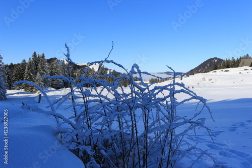 Schwägalp,Appenzell,Winterwunderland,Schweiz,Natur photo