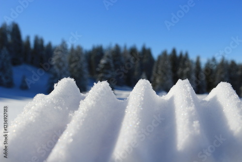 Schwägalp,Appenzell,Winterwunderland,Schweiz,Natur photo