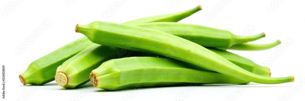 Fresh okra stems and roots isolated on white background, botanical, root Fresh okra stems and roots isolated on white background, botanical, root