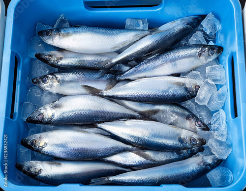 Fresh mackerel fish on ice in a blue container, ready for sale at the seafood market.