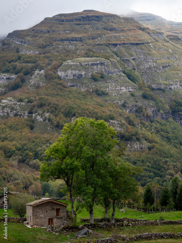 Cabañas pasiegas de Espinosa