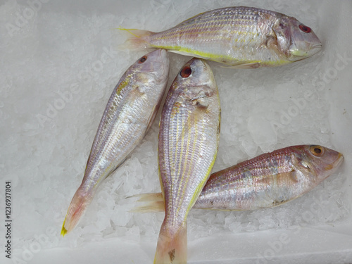 Threadfin breams, whiptail breams, or Sultan Ibrahim fish on ice photo