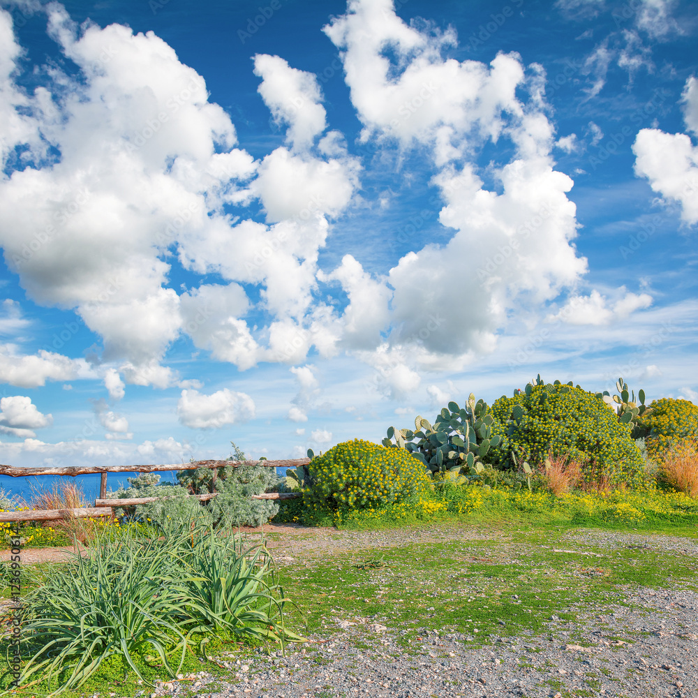 Scenic spring view on the the cape Milazzo panorama of nature reserve Piscina di Venere.