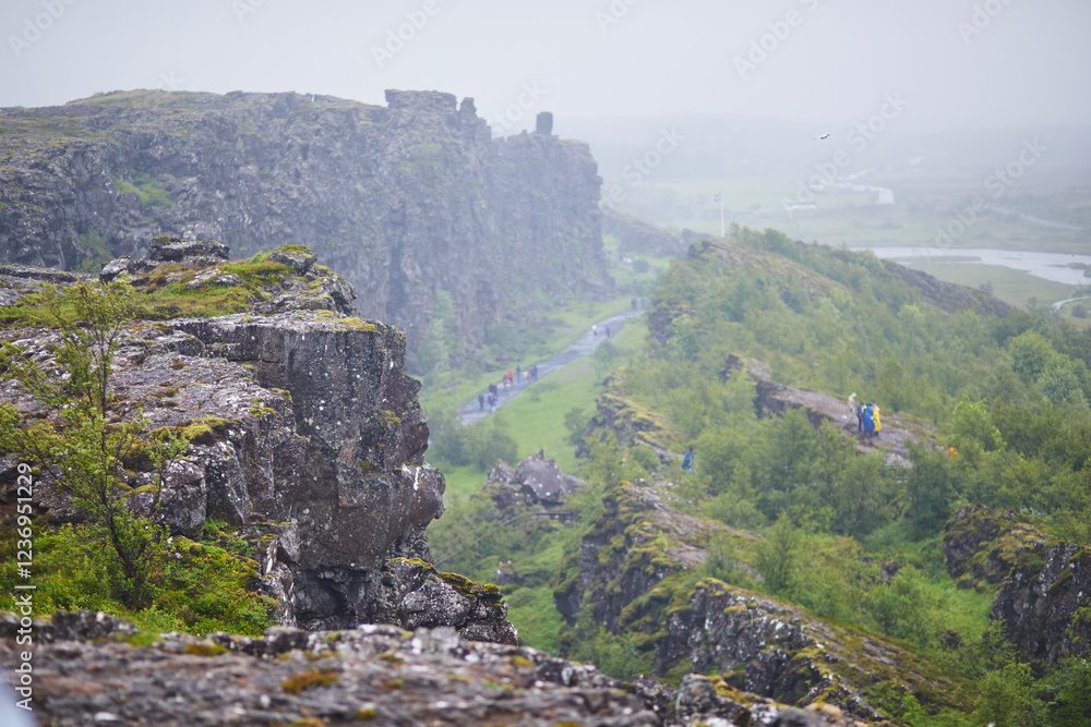 Naklejka premium Scenic view of landscape in Thingvellir national park in Iceland with black volcanic rocks and green plants.
