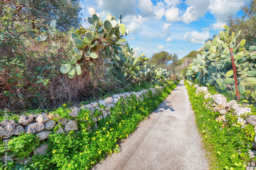 Astonishing view on blooming garden at Cape Milazzo during daytime.