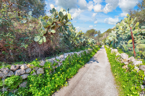 Obraz na płótnie Astonishing view on blooming garden at Cape Milazzo during daytime. w salonie