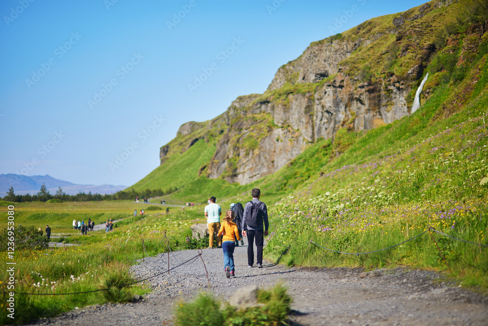 Obraz premium Lots of tourists enjoying scenic view of Seljalandsfoss waterfall where visitors can enter the cave behind the waterfall
