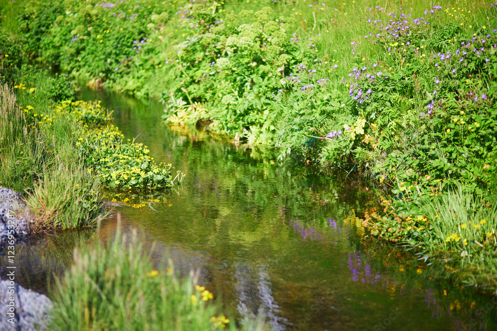 Clear water of a brook near Seljalandsfoss waterfall in Iceland. Clear water of a brook near Seljalandsfoss waterfall in Iceland.
