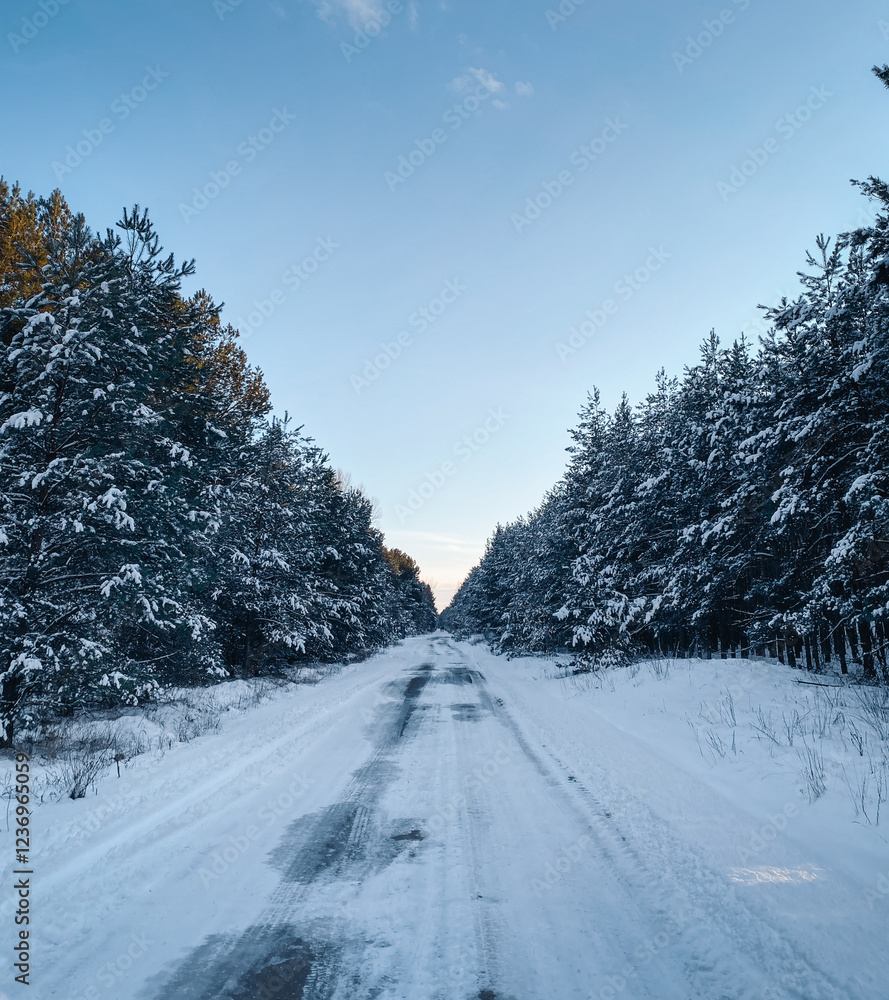 Fototapeta premium Narrow road in snowy forest at dusk. Driving in snow: a narrow road through winter forest, surrounded by pine trees.