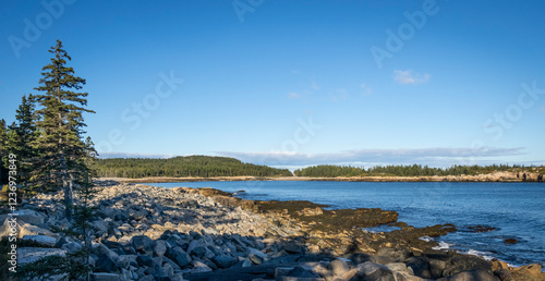 Rugged rocky coast of Schoodic peninsula in Acadia National Park in Maine USA