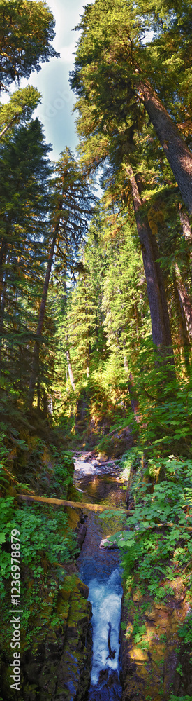 Fototapeta premium Sol Duc Falls Soleduck waterfall view in summer 2024 Olympic National Park, Washington, United States