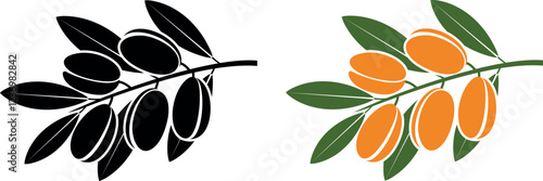 Argan logo. Isolated argan on white background