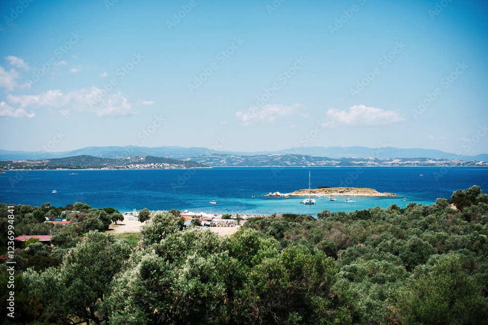 Coastal Landscape with Olive Trees and Blue Sea Coastal Landscape with Olive Trees and Blue Sea