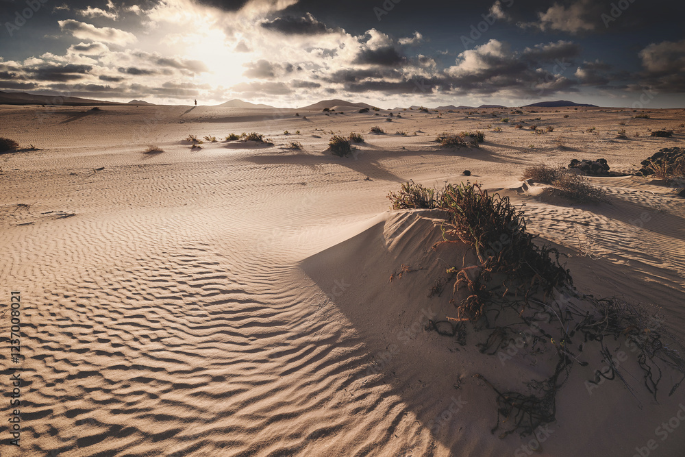 Fuerteventura - Corralejo - Dunes