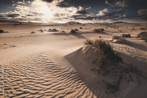 Obraz na płótnie Fuerteventura - Corralejo - Dunes
w salonie