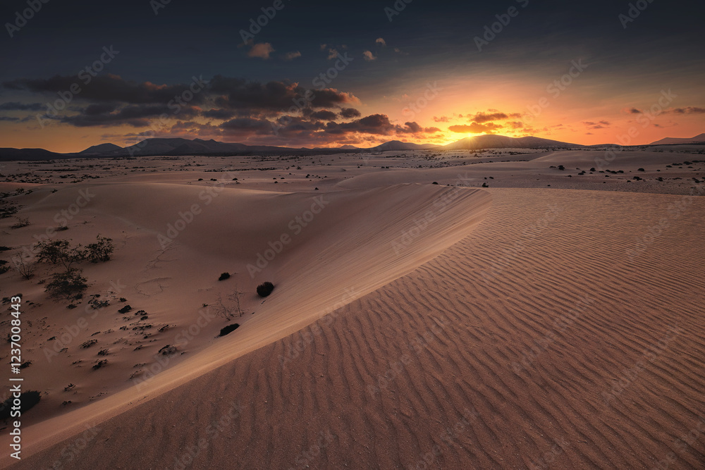 Fuerteventura - Corralejo - Dunes