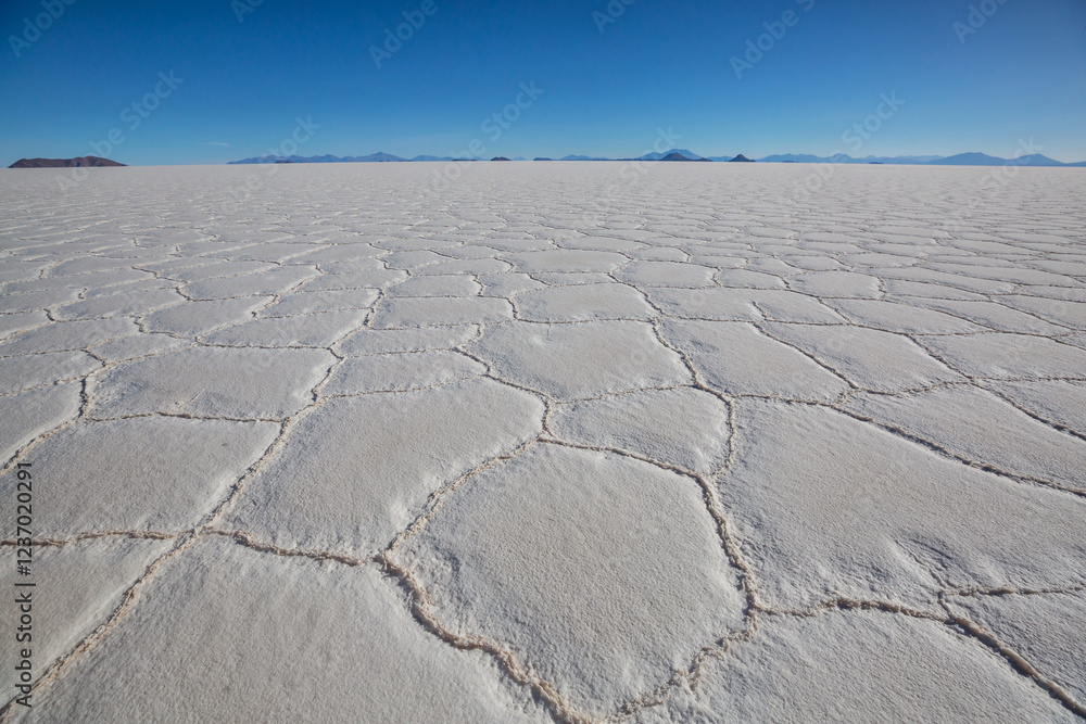 Obraz premium Uyuni