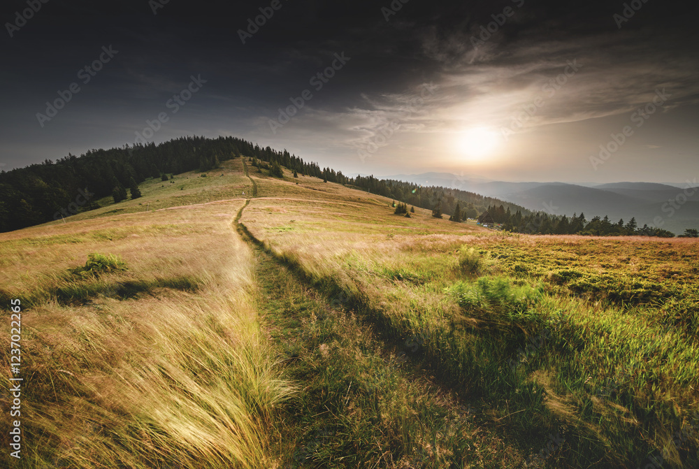 Rycerzowa - Żywiec - Beskidy