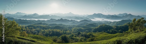 Lush green hills and misty mountains in a serene landscape at dawn