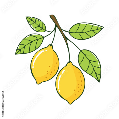 Lemons on a branch with leaves vector color illustration in line art style. Drawing of ripe citrus fruits sketch for packaging and design.