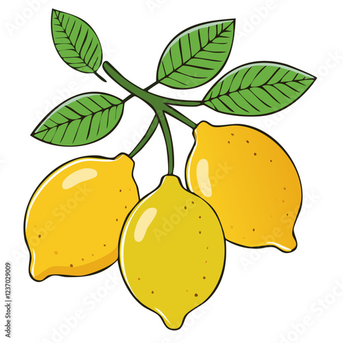 Lemons on a branch with leaves vector color illustration in line art style. Drawing of ripe citrus fruits sketch for packaging and design.