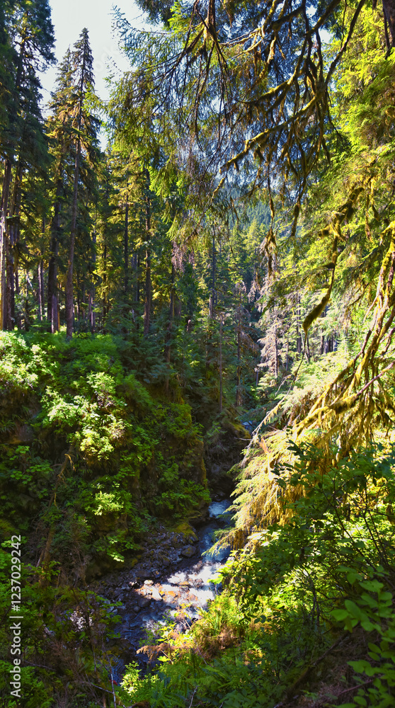 Sol Duc Falls hiking trail Soleduck waterfall view in summer 2024 Olympic National Park, Washington, United States Sol Duc Falls hiking trail Soleduck waterfall view in summer 2024 Olympic National Park, Washington, United States