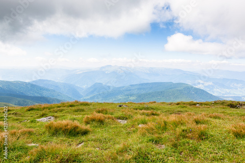 Obraz na płótnie nature landscape with alpine grassy meadow of mnt. petros in dappled light. carpathian mountain scenery of ukraine in summer. popular travel destination of transcarpathia. outdoor adventure w salonie