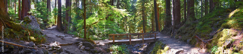 Sol Duc Falls hiking trail Soleduck waterfall view in summer 2024 Olympic National Park, Washington, United States Sol Duc Falls hiking trail Soleduck waterfall view in summer 2024 Olympic National Park, Washington, United States