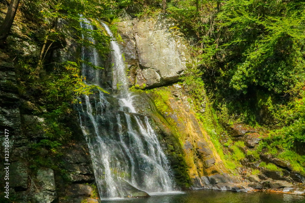 Naklejka premium Beautiful waterfall cascading into a serene pool surrounded by lush greenery. Bushkill Falls in Poconos Pennsylvania.