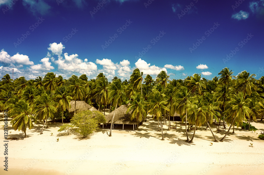 Tropical Caribbean beach, Dominican Republic Tropical Caribbean beach, Dominican Republic