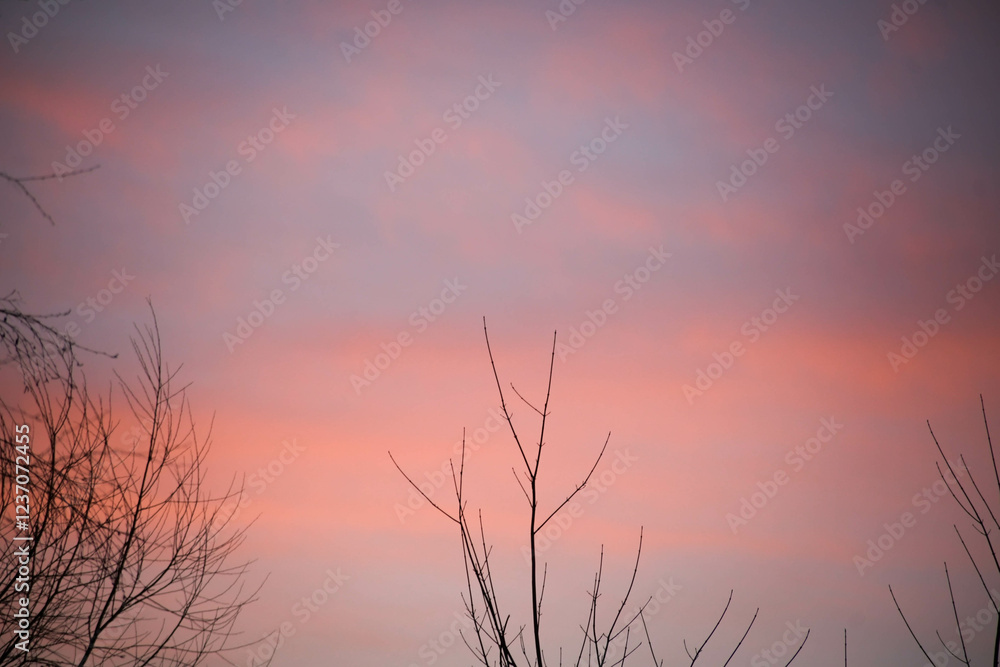 Obraz premium Candy sky after sunset