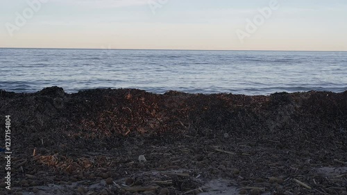 A low-angle view of storm-washed driftwood piles on Denia beach; water visible in the background, with sunlight shining from the side.
 photo