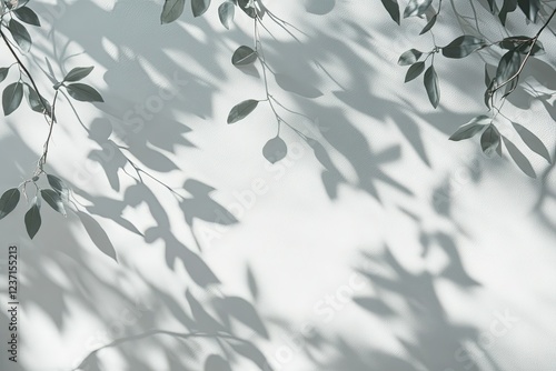 White wall with plant shadow and light background with copy space
