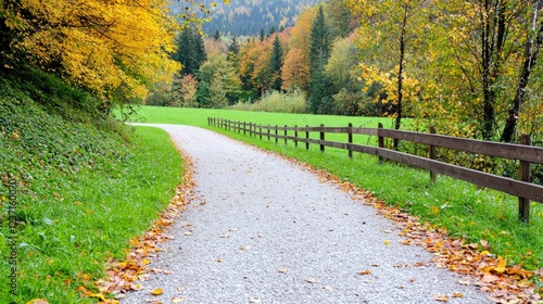 Autumnal path, valley view, fall leaves, peaceful walk