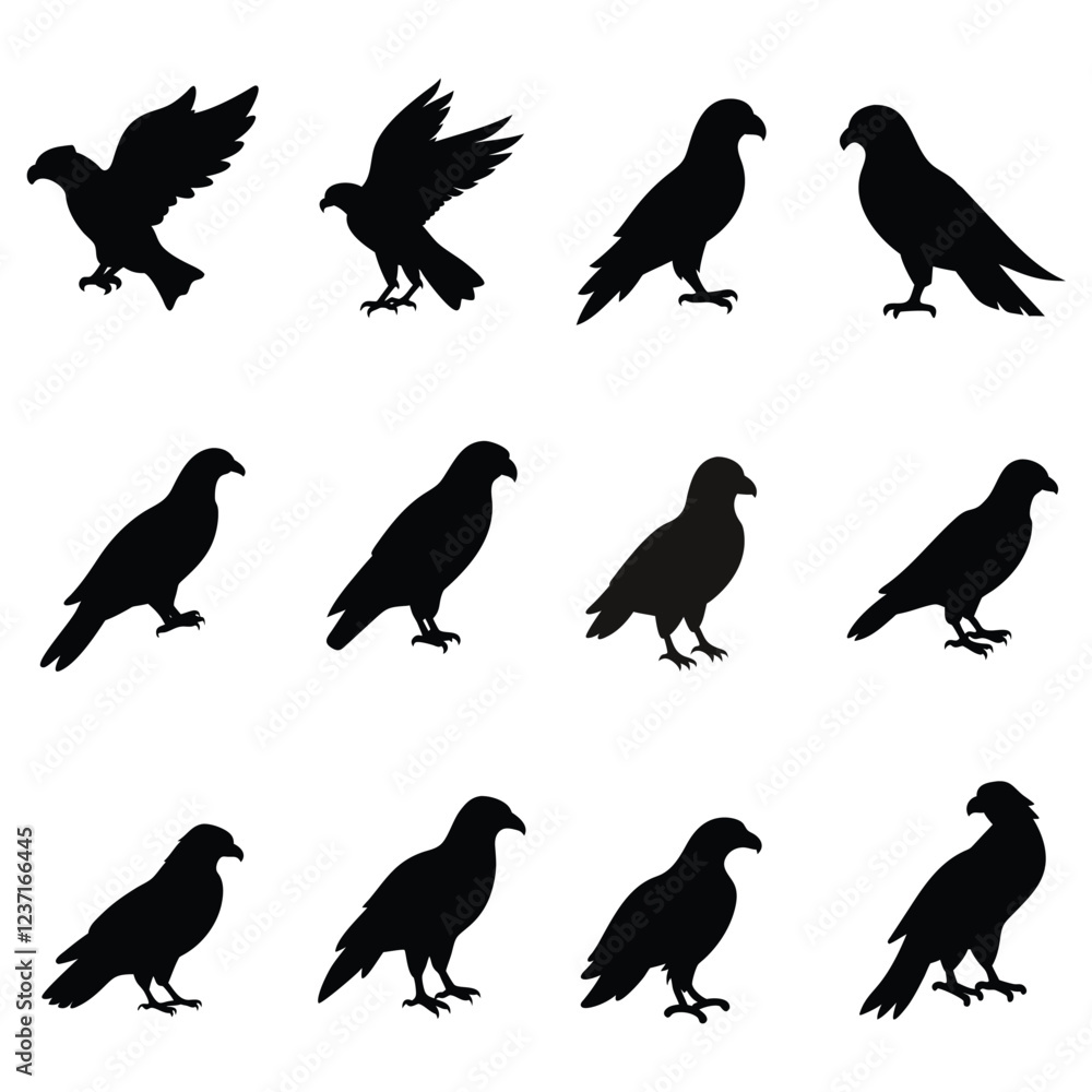 Eagle vector silhouette,Silhouettes of wild birds in flight,Vector silhouettes eagle,Bald Eagle Silhouettes Eagle vector silhouette,Silhouettes of wild birds in flight,Vector silhouettes eagle,Bald Eagle Silhouettes
