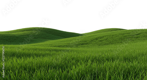 green grassland landscape png 