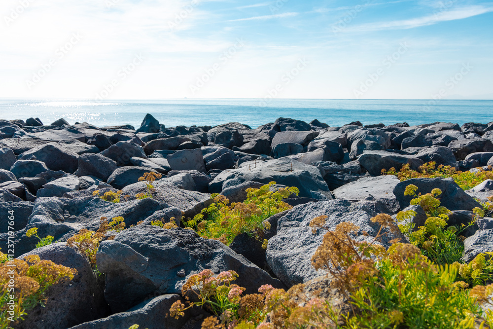 panorama of Bay of beach close to Napoli or Naples, viewed from the south. Visible rocks, sea and some foliage