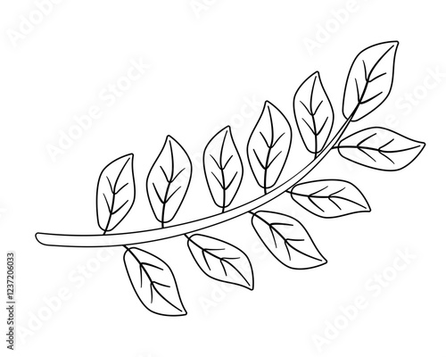 Branch with leaves - vector linear illustration for coloring. Leaves are an element for a coloring book. Outline.	