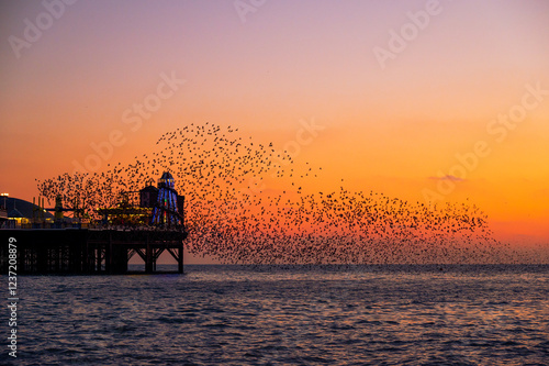 The stunning starling murmuration at dusk over Brighton Pier