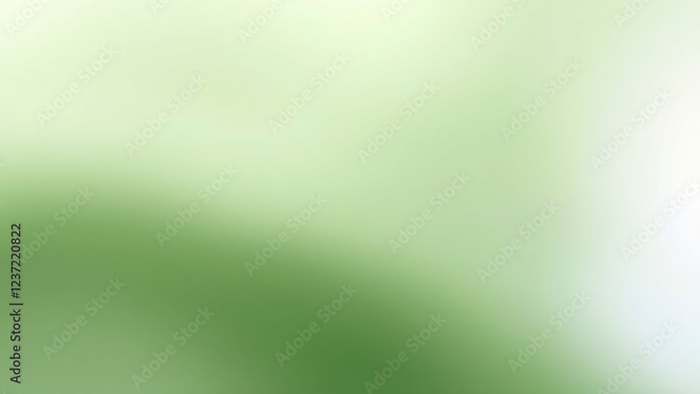 Abstract Green and White Blurred Background Abstract Green and White Blurred Background