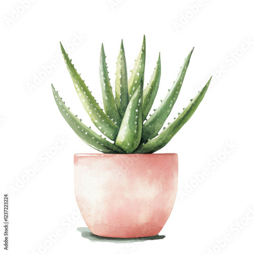 Watercolor aloe vera plant in pink pot on transparent background isolated png photo